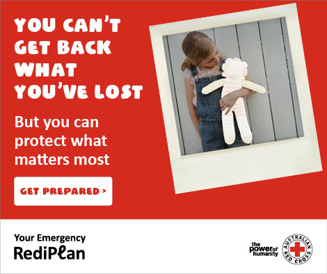 Red Cross Rediplan